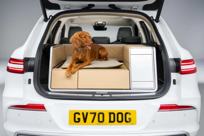 stylish-new-dog-friendly-car-900507233