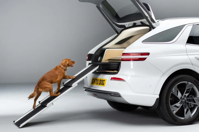 stylish-new-dog-friendly-car-900507347