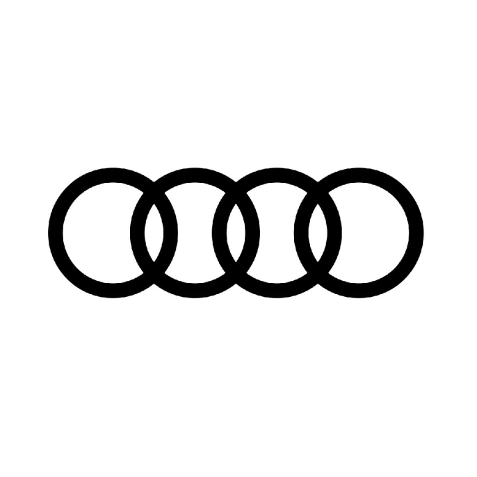 audi1