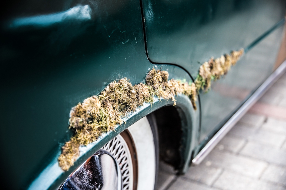 car with pollen