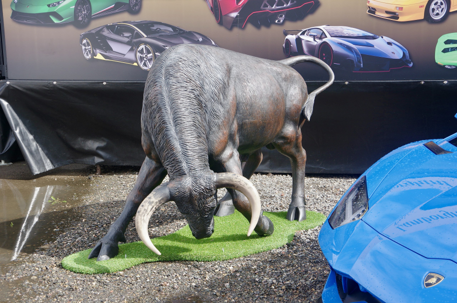 Lamborghini bull